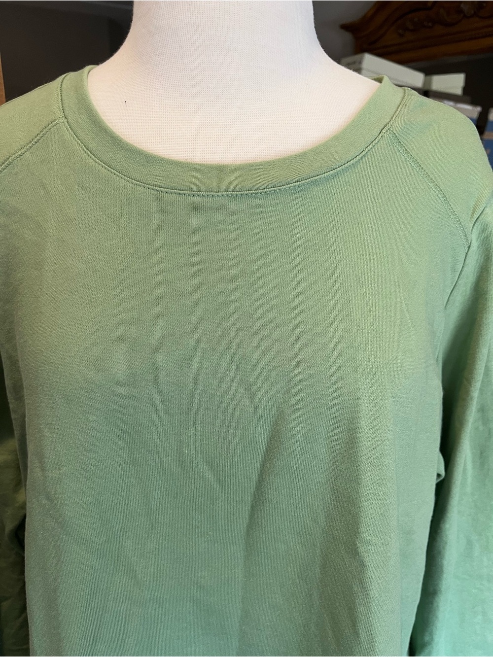 AnyBody Sage Green Crewneck Sweatshirt